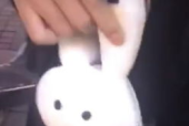 兔抖抖,揭秘天山萌物伊犁鼠兔的生存现状与保护之路