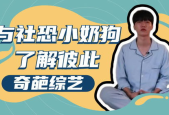 社恐小77,勇敢面对社交恐惧的旅程