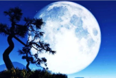 月球造梦家,艺术梦想的璀璨星空